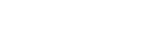 Saguaro Review